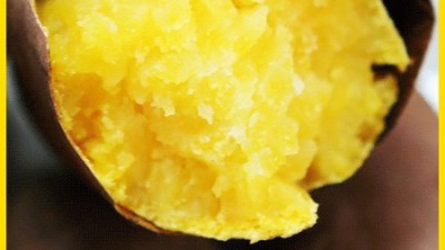 놓치면 후회!😋 강화 속노랑고구마 초특가 꿀팁🍯 후기